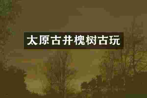 太原古井槐树古玩