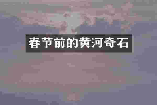 春节前的黄河奇石