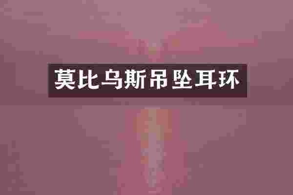 莫比乌斯吊坠耳环