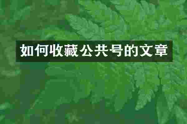 如何收藏公共号的文章