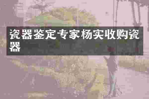瓷器鉴定专家杨实收购瓷器