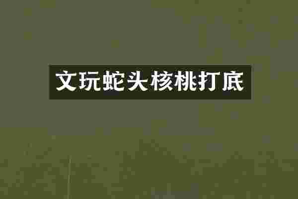 文玩蛇头核桃打底