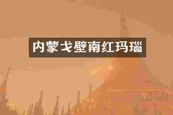 内蒙戈壁南红玛瑙