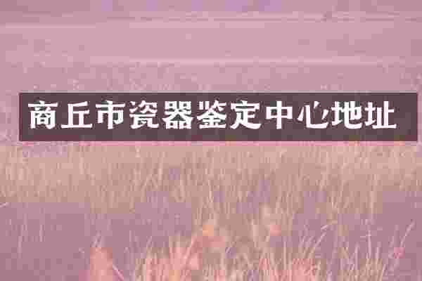 商丘市瓷器鉴定中心地址