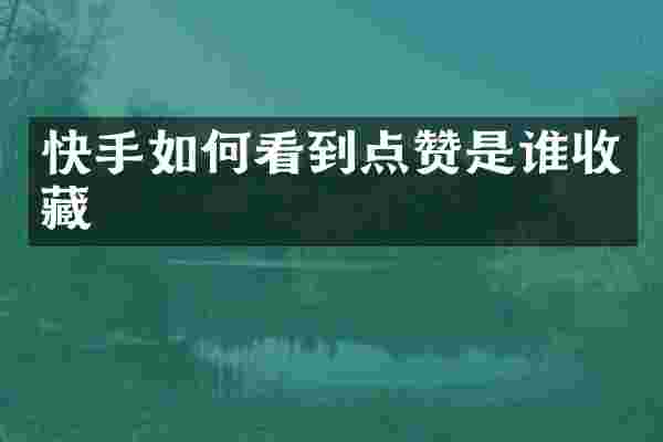 快手如何看到点赞是谁收藏