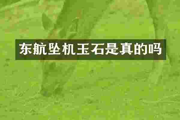 东航坠机玉石是真的吗