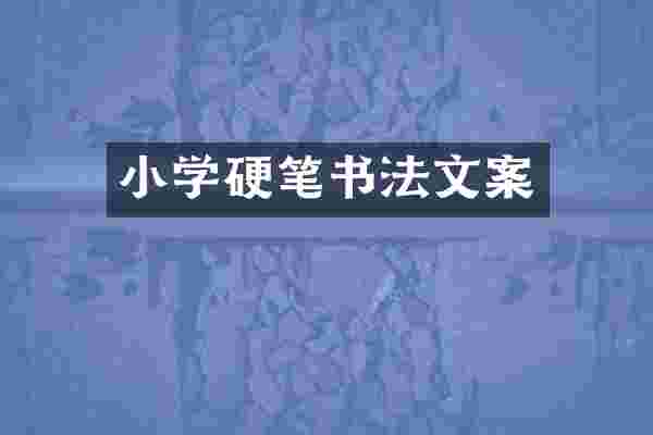 小学硬笔书法文案