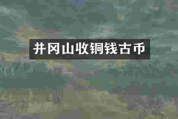 井冈山收铜钱古币