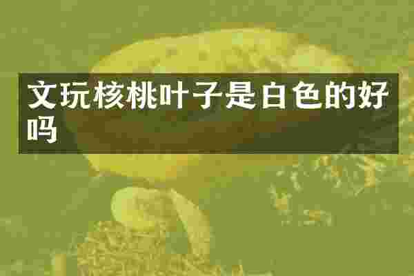 文玩核桃叶子是白色的好吗