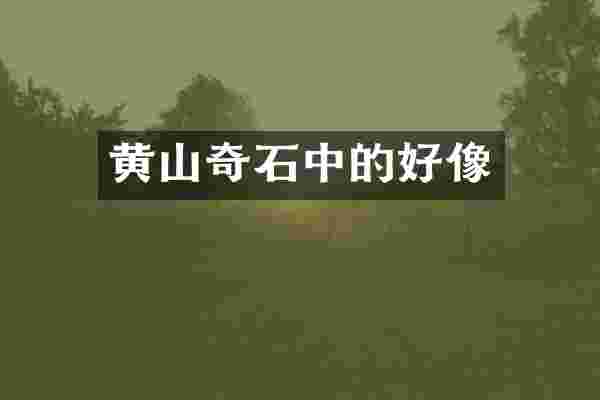 黄山奇石中的好像