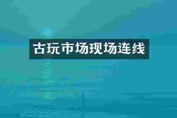 古玩市场现场连线