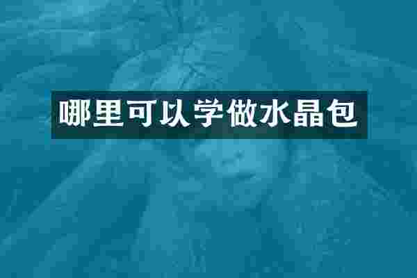 哪里可以学做水晶包