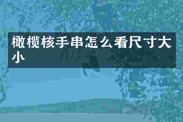 橄榄核手串怎么看尺寸大小