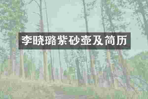 李晓璐紫砂壶及简历