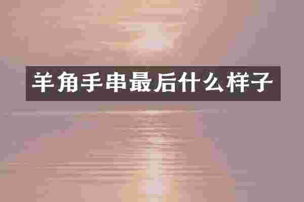 羊角手串最后什么样子