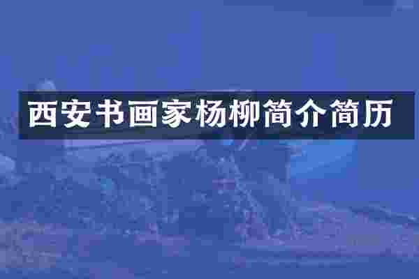 西安书画家杨柳简介简历
