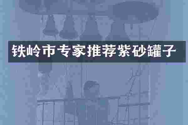 铁岭市专家推荐紫砂罐子