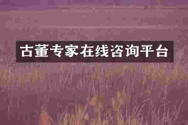 古董专家在线咨询平台