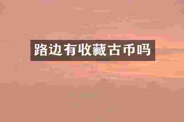 路边有收藏古币吗