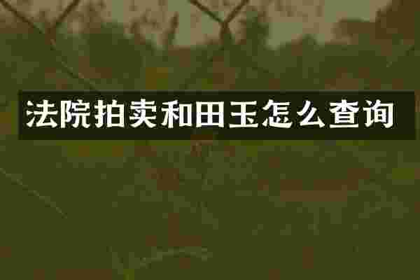 法院拍卖和田玉怎么查询