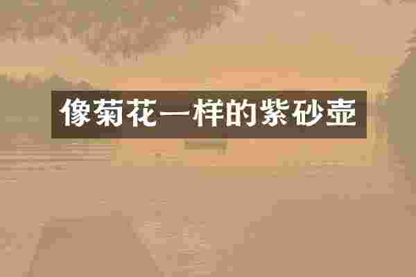 像菊花一样的紫砂壶