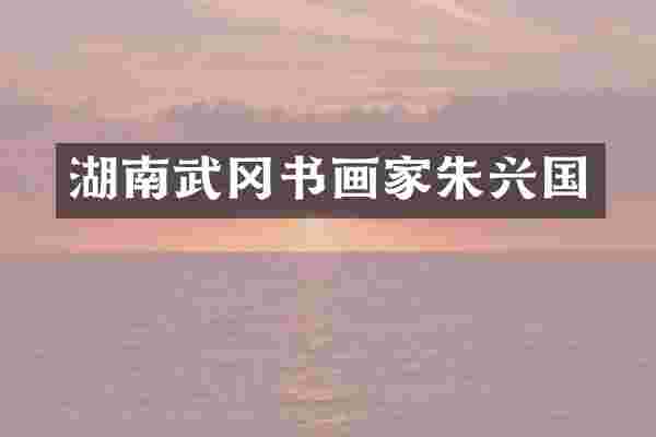 湖南武冈书画家朱兴国