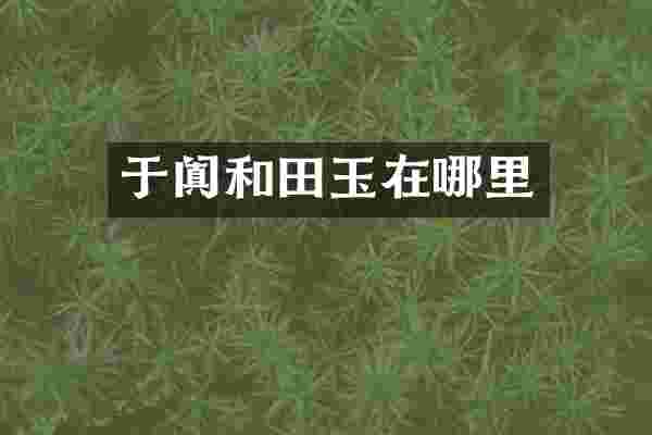 于阗和田玉在哪里