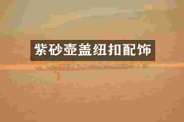 紫砂壶盖纽扣配饰