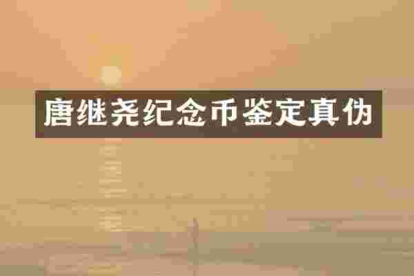 唐继尧纪念币鉴定真伪