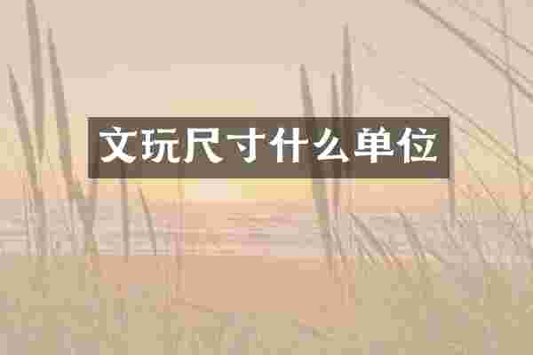 文玩尺寸什么单位