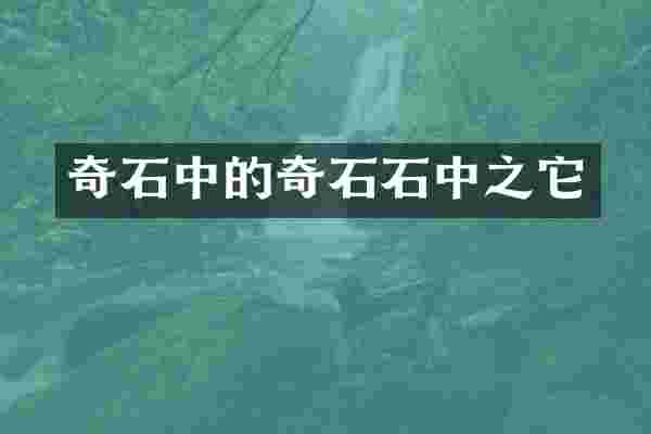 奇石中的奇石石中之它