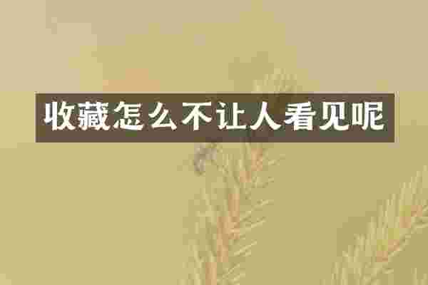 收藏怎么不让人看见呢
