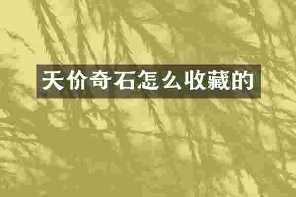 天价奇石怎么收藏的