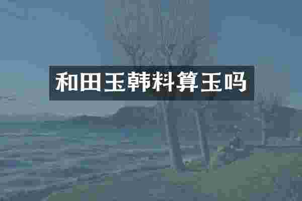 和田玉韩料算玉吗