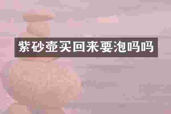 紫砂壶买回来要泡吗吗