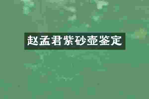 赵孟君紫砂壶鉴定