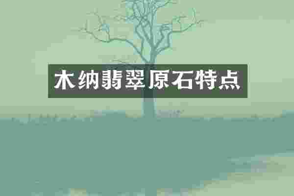 木纳翡翠原石特点