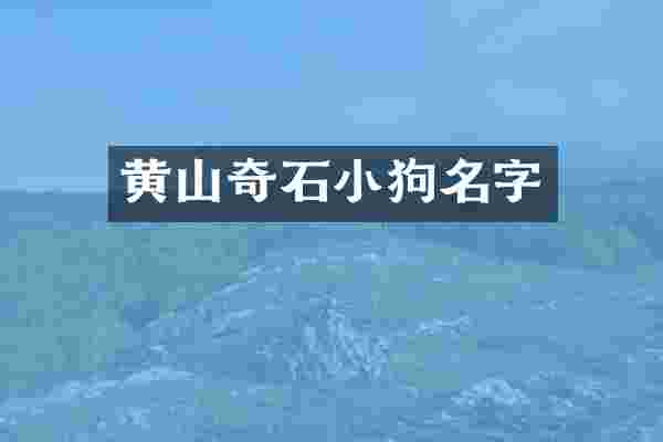 黄山奇石小狗名字