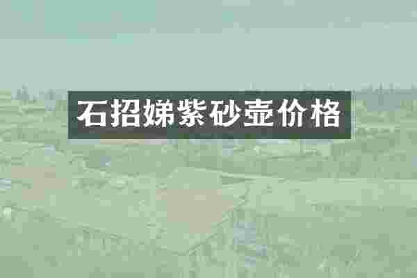 石招娣紫砂壶价格