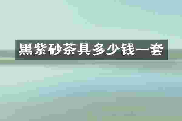 黑紫砂茶具多少钱一套