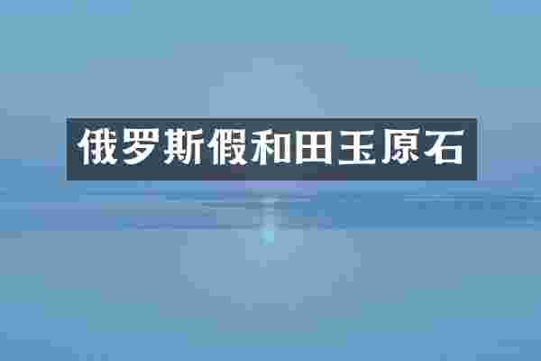 俄罗斯假和田玉原石