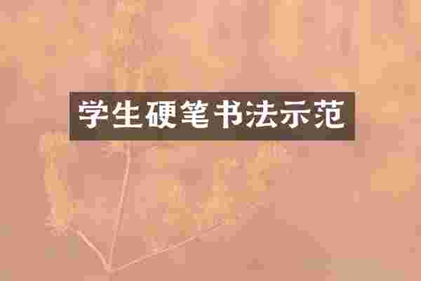 学生硬笔书法示范