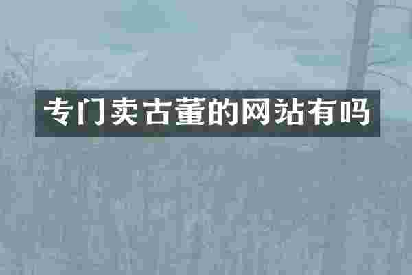 专门卖古董的网站有吗