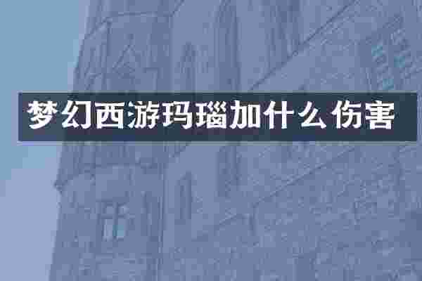梦幻西游玛瑙加什么伤害