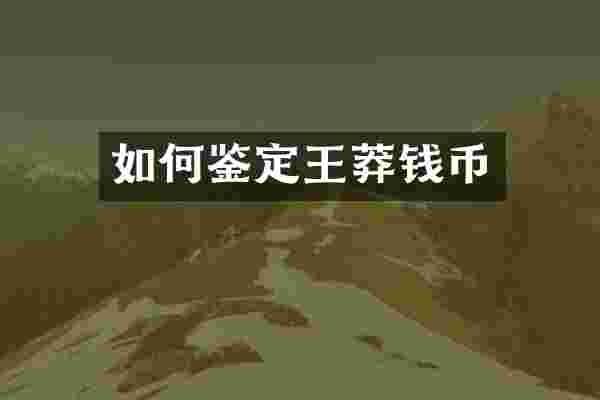 如何鉴定王莽钱币