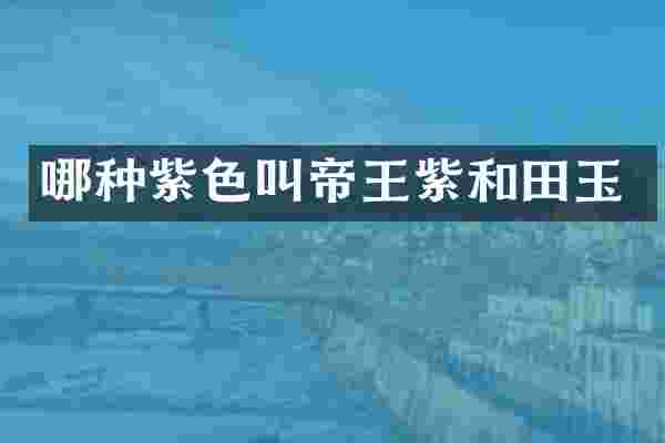 哪种紫色叫帝王紫和田玉