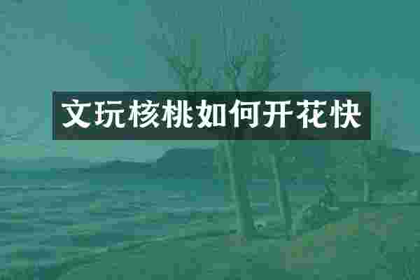 文玩核桃如何开花快