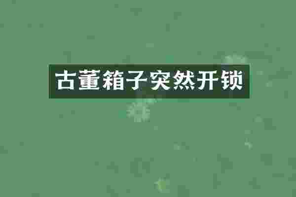 古董箱子突然开锁