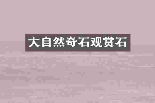 大自然奇石观赏石