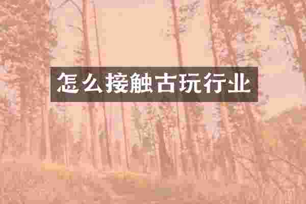 怎么接触古玩行业